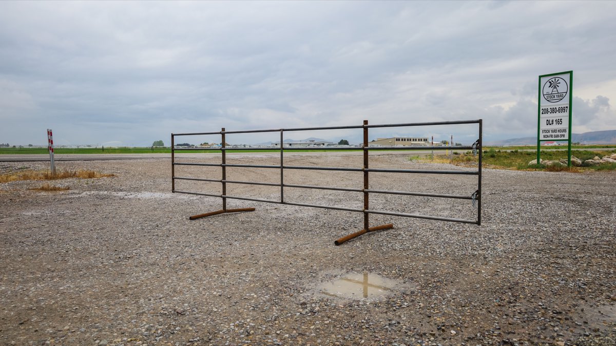 Self-Standing Panel 5'H x 20'L 1.66"