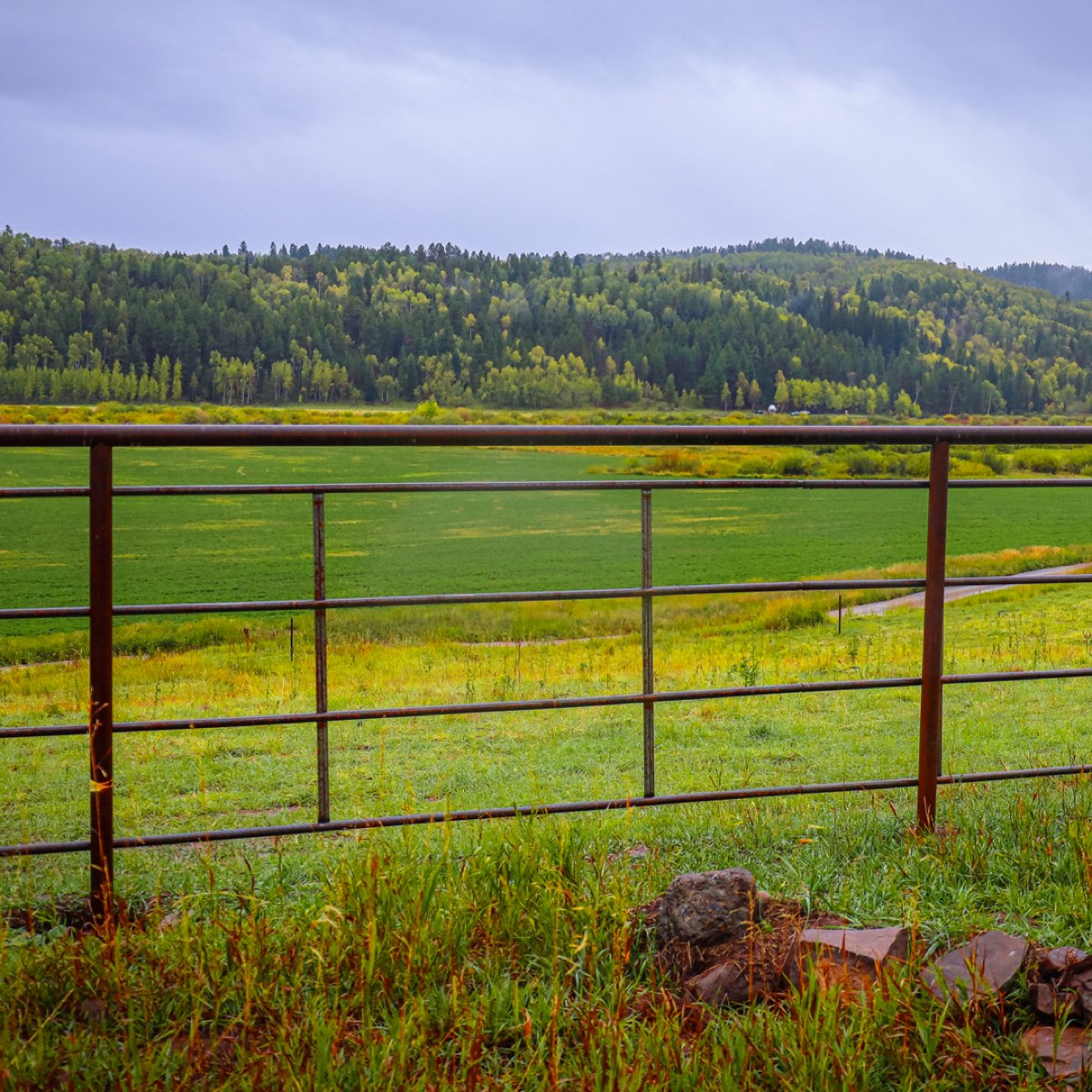 PTI continuous fence installed beside a pasture