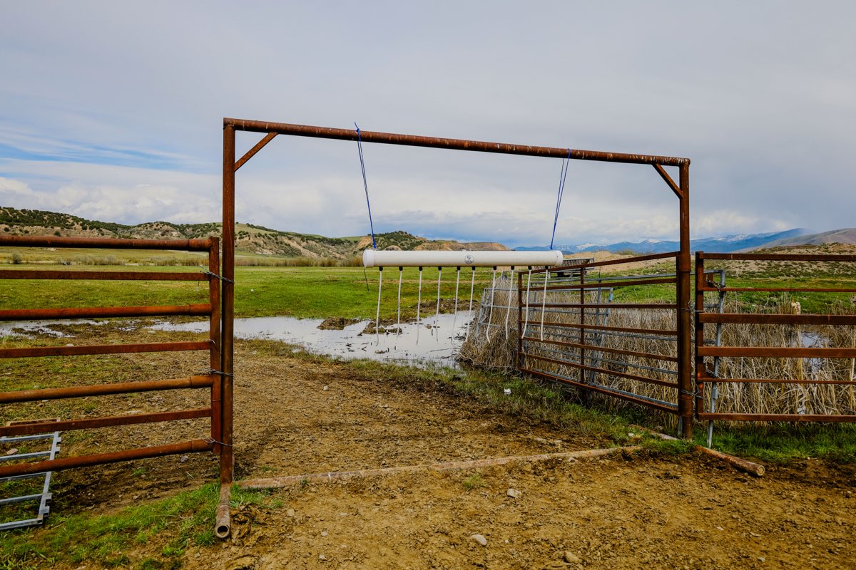 Cattle Oiler 60"