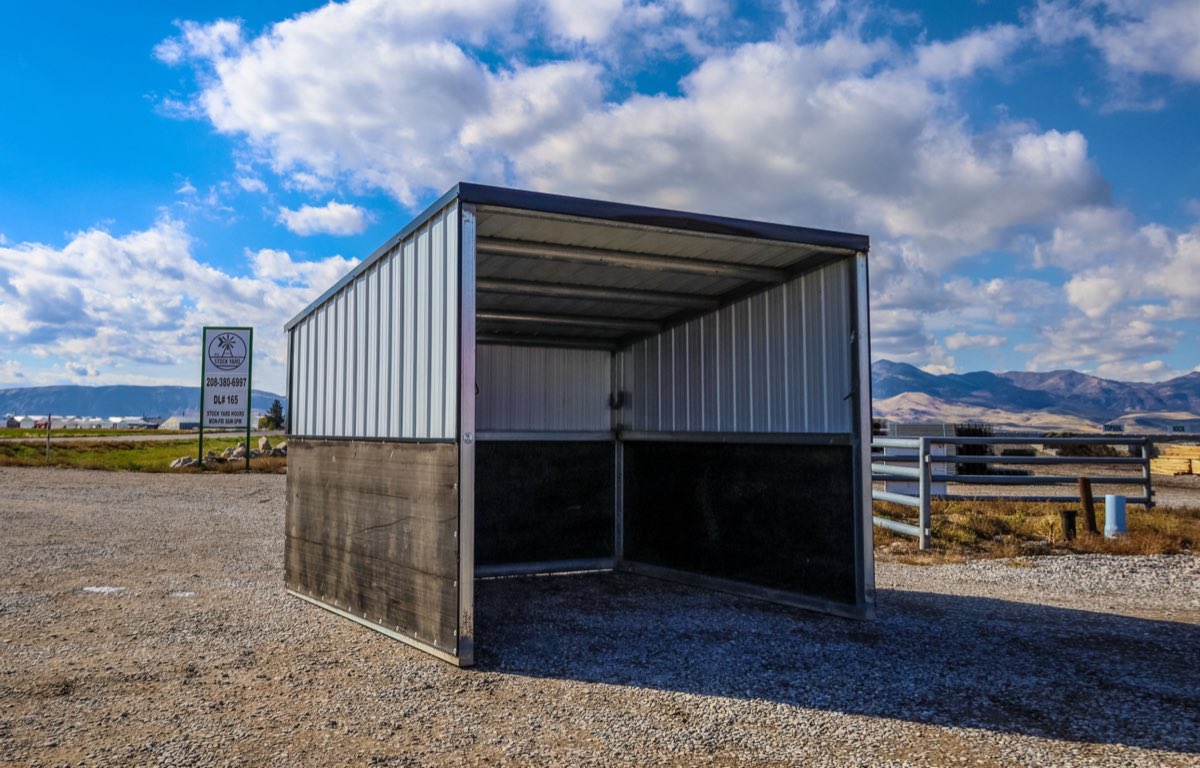 The Rancher 12'x12'